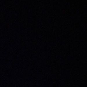 Meet your Posher, Riley